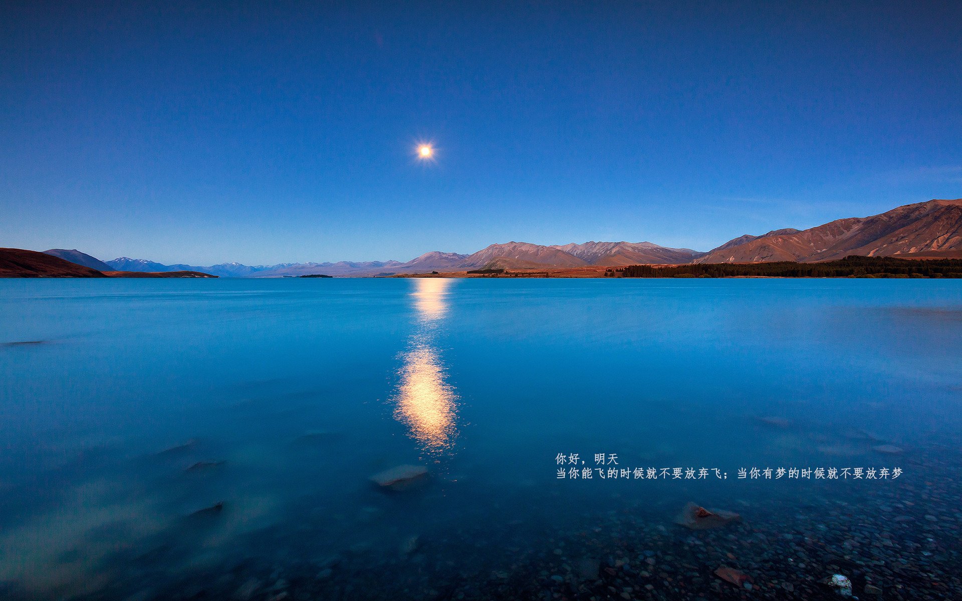 九游电脑版-_少年羽毛球联盟：点燃青春运动热情_，少年羽毛球锦标赛