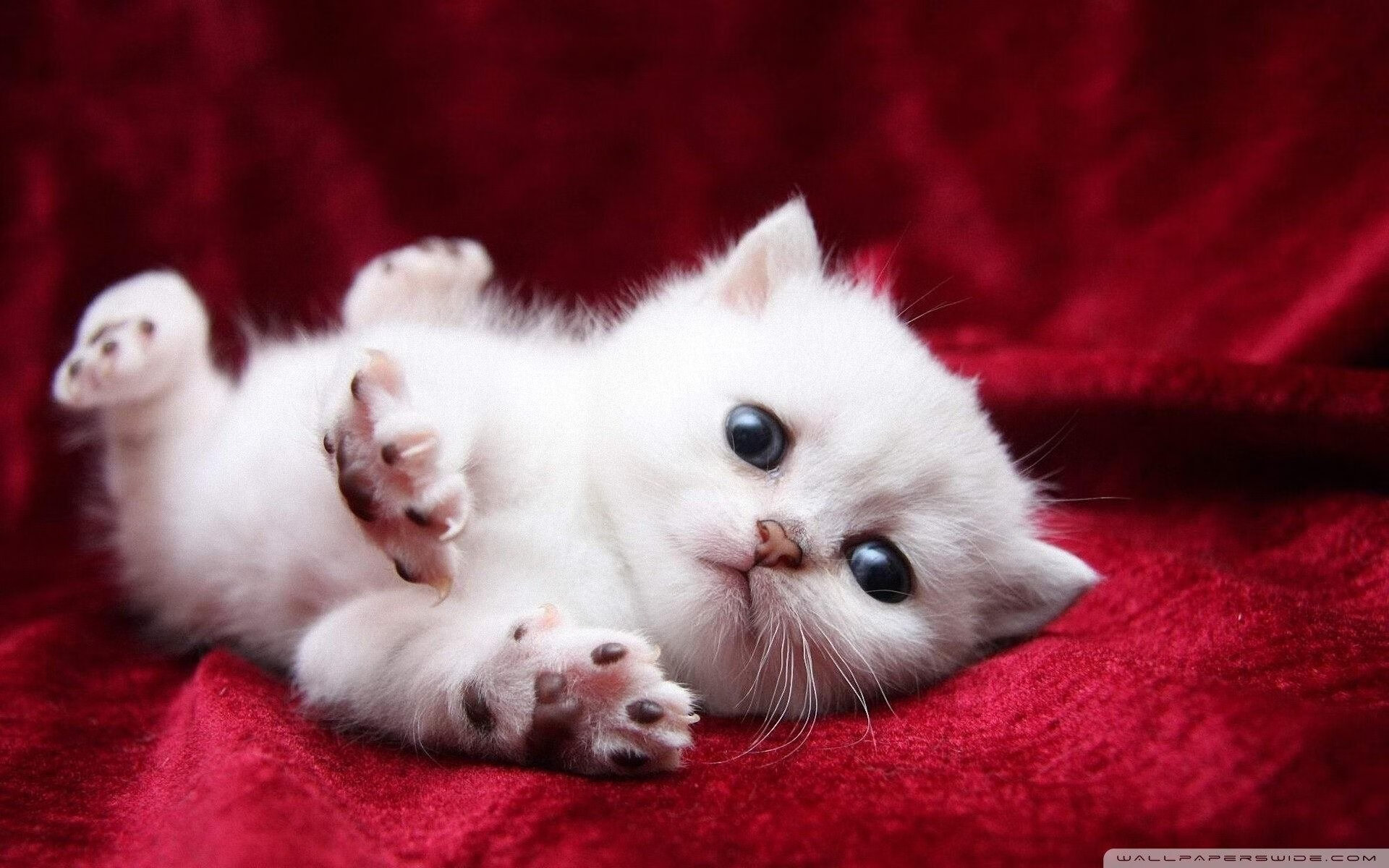 九游娱乐中心-_挑战极限：长时间连续比赛记录争夺_，挑战极限重播时间