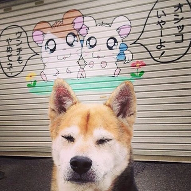 九游sports-_运动员身体健康与运动表现关系探究_，运动员身体状况