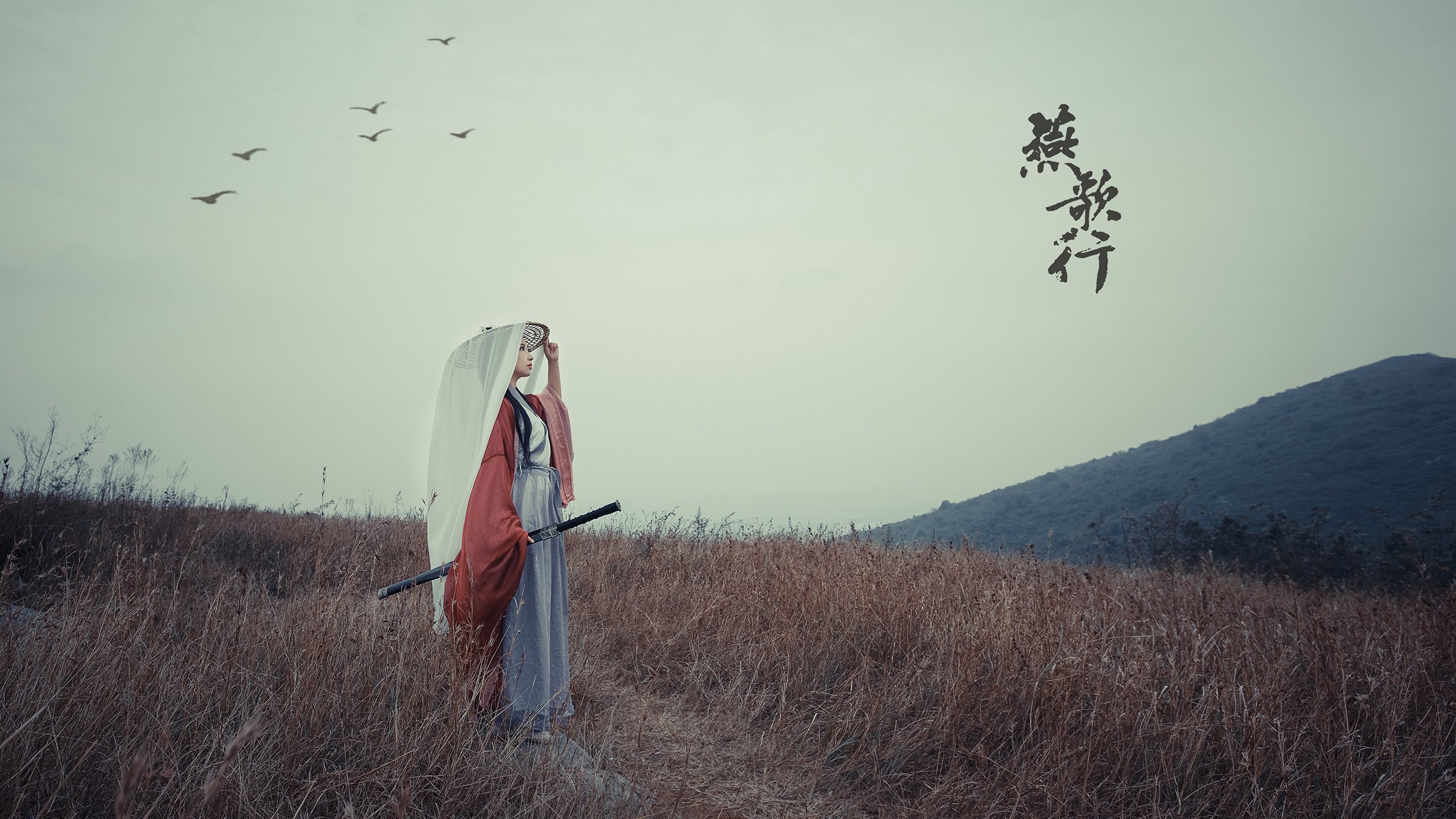 “豪车飙速:性能与速度的完美爆发”,豪车速度排名前100名