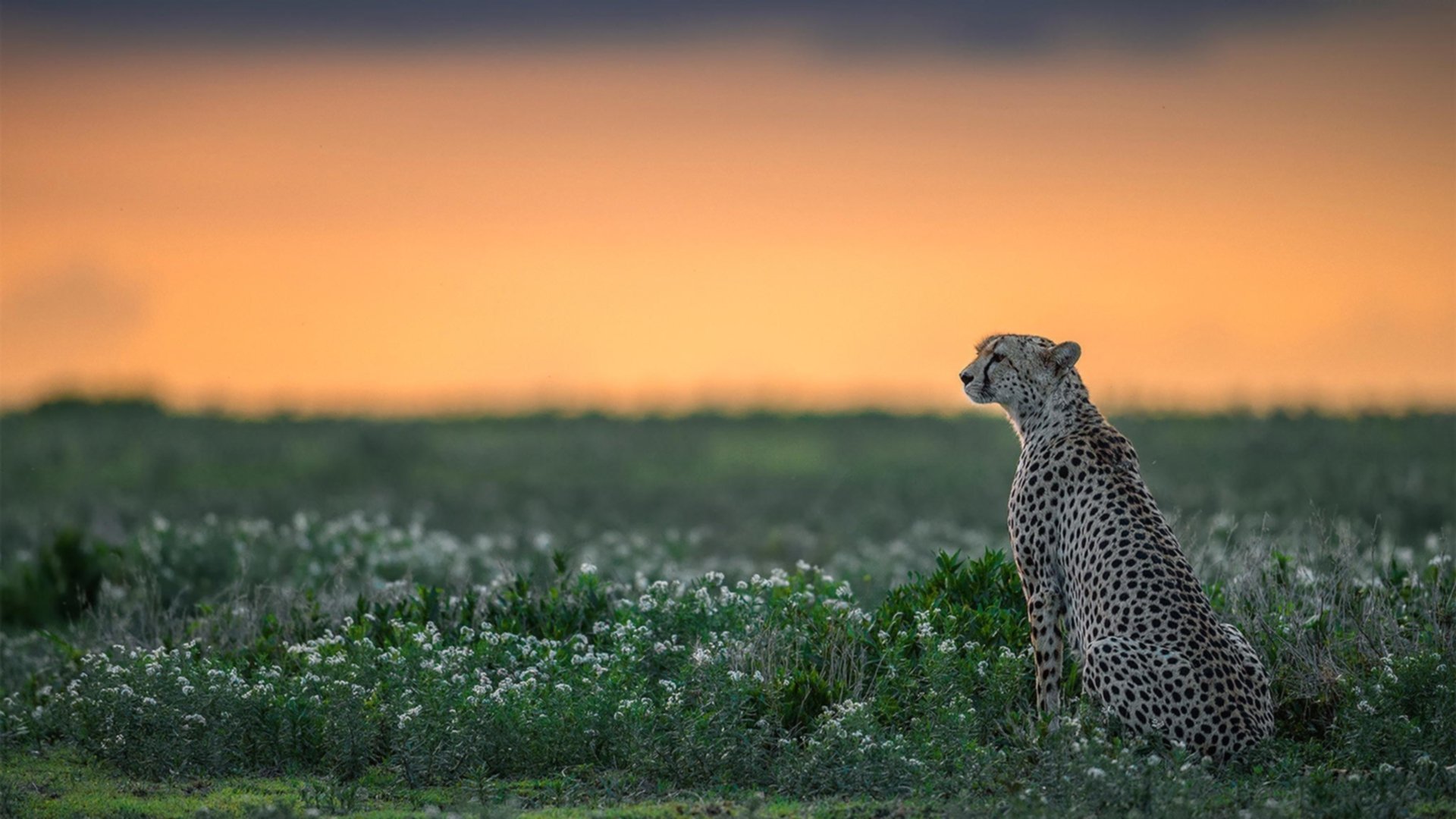 九游游戏中心官网-《2025英雄联盟全球总决赛，小组赛激战正酣》，2050年英雄联盟总决赛