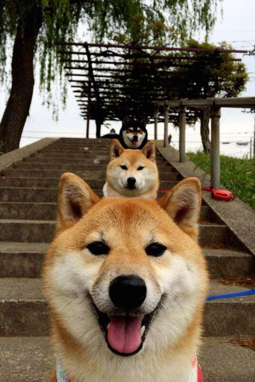 九游网游官网-中国男篮集训营开启，年轻新星备受关注，中国男篮集训队首次人员调整 新闻