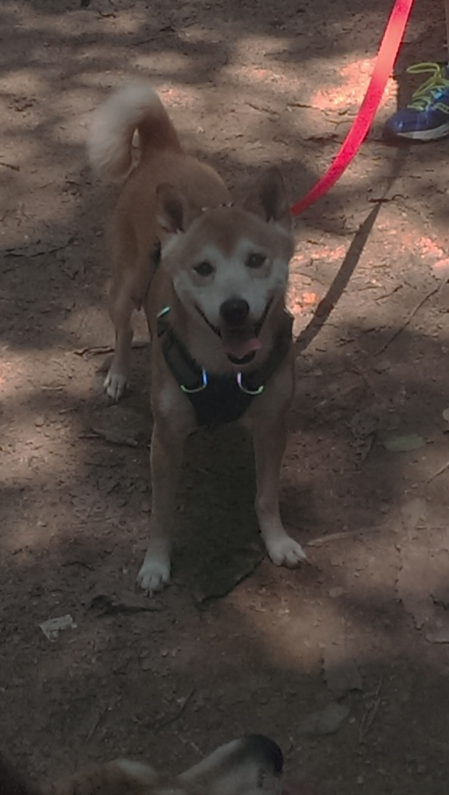 传奇重现：退役巨星与新一代巨星的“世代对话”，重返传奇