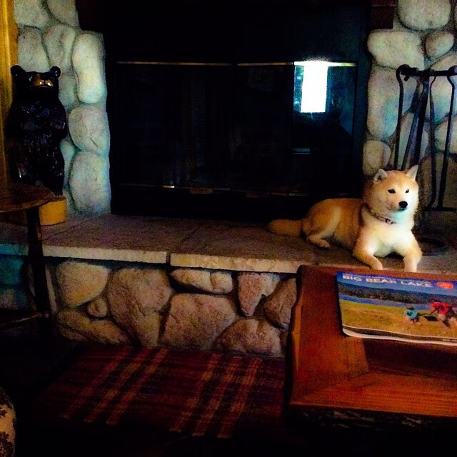 九游用户空间-名宿分析：目前中国足球面临的最大挑战，中国足球发展面临的机遇与挑战