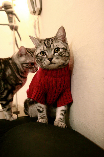 塞内加尔首夺冬奥足球铜牌,创造非洲历史