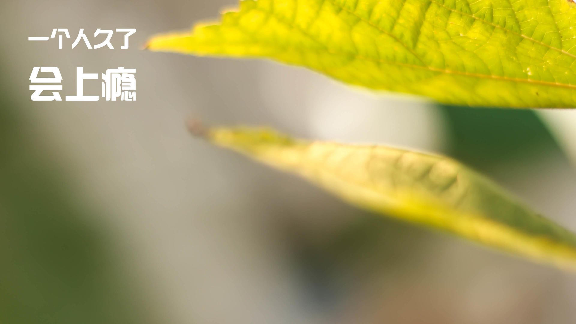 九游sports-江苏青少年联赛精彩纷呈，培育未来篮球明星，江苏省青少年篮球队名单