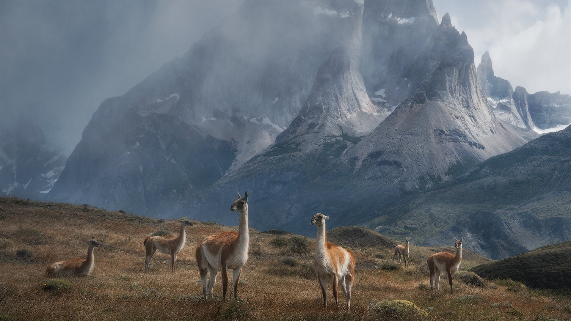 特色篮球文化演出在全国巡演,弘扬中华体育精神,篮球表演节目名称