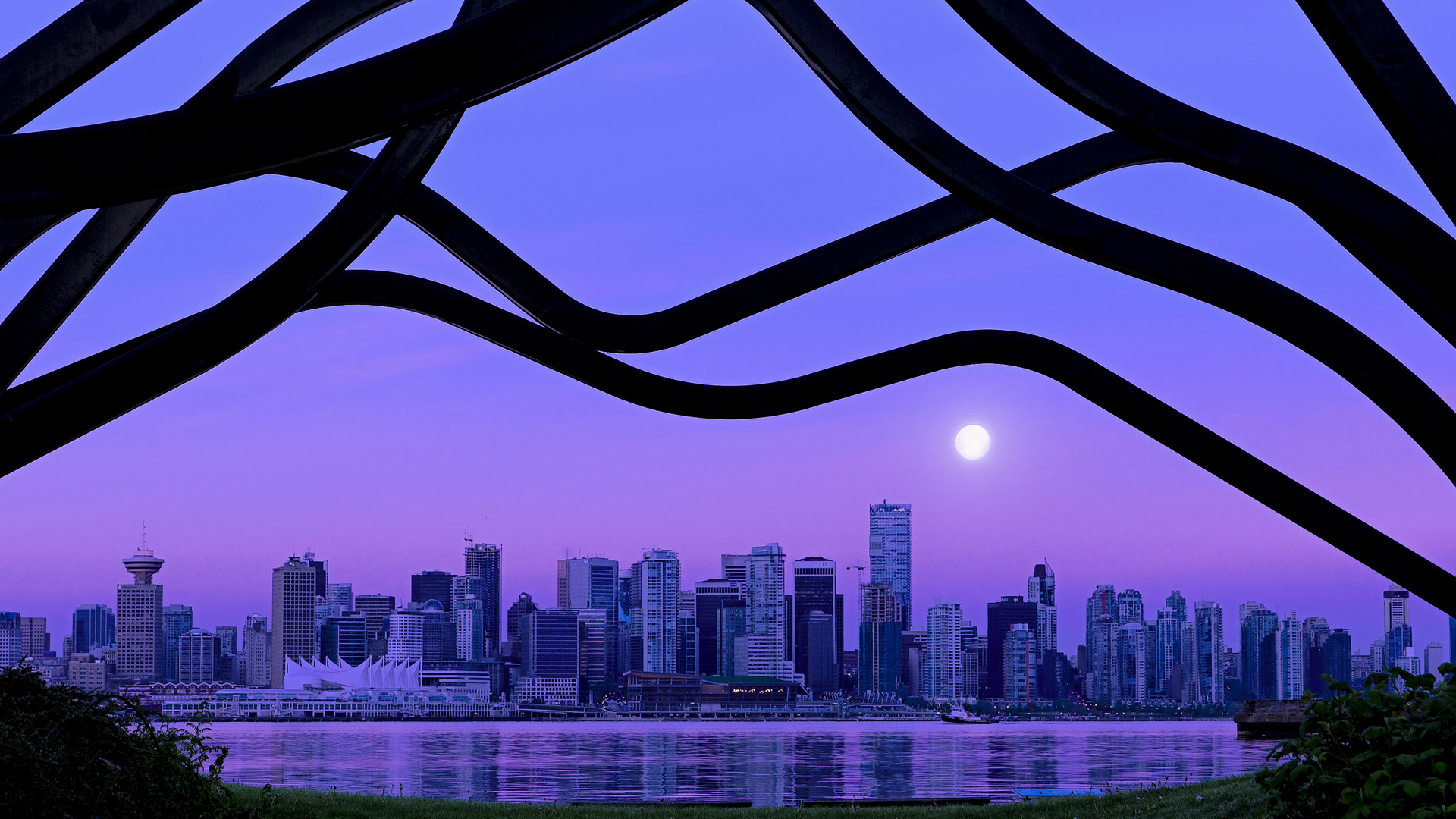 -球迷自发：打造最独特的球迷应援阵营，球迷的乃