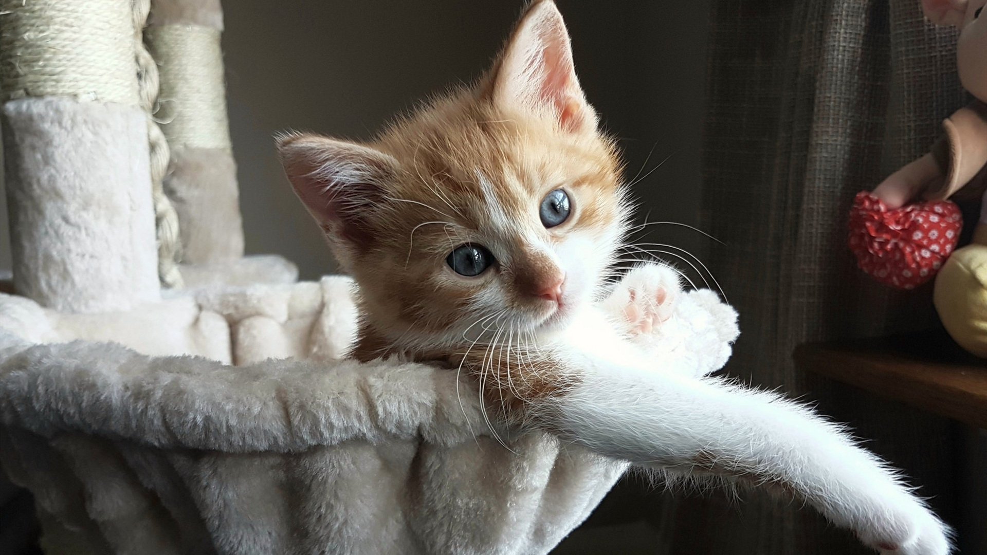 九游网页版入口-电竞直播技术：高清流畅与互动体验，电竞直播是什么干嘛的