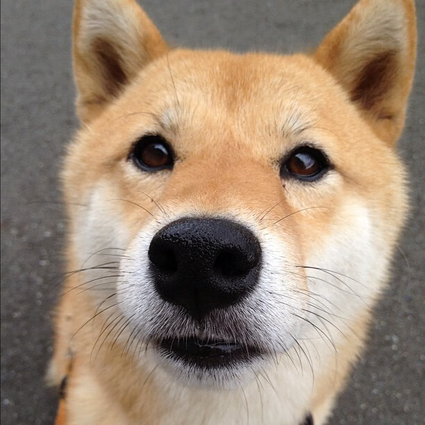 -赛后分析：车手和团队的战术反思，赛车和车手