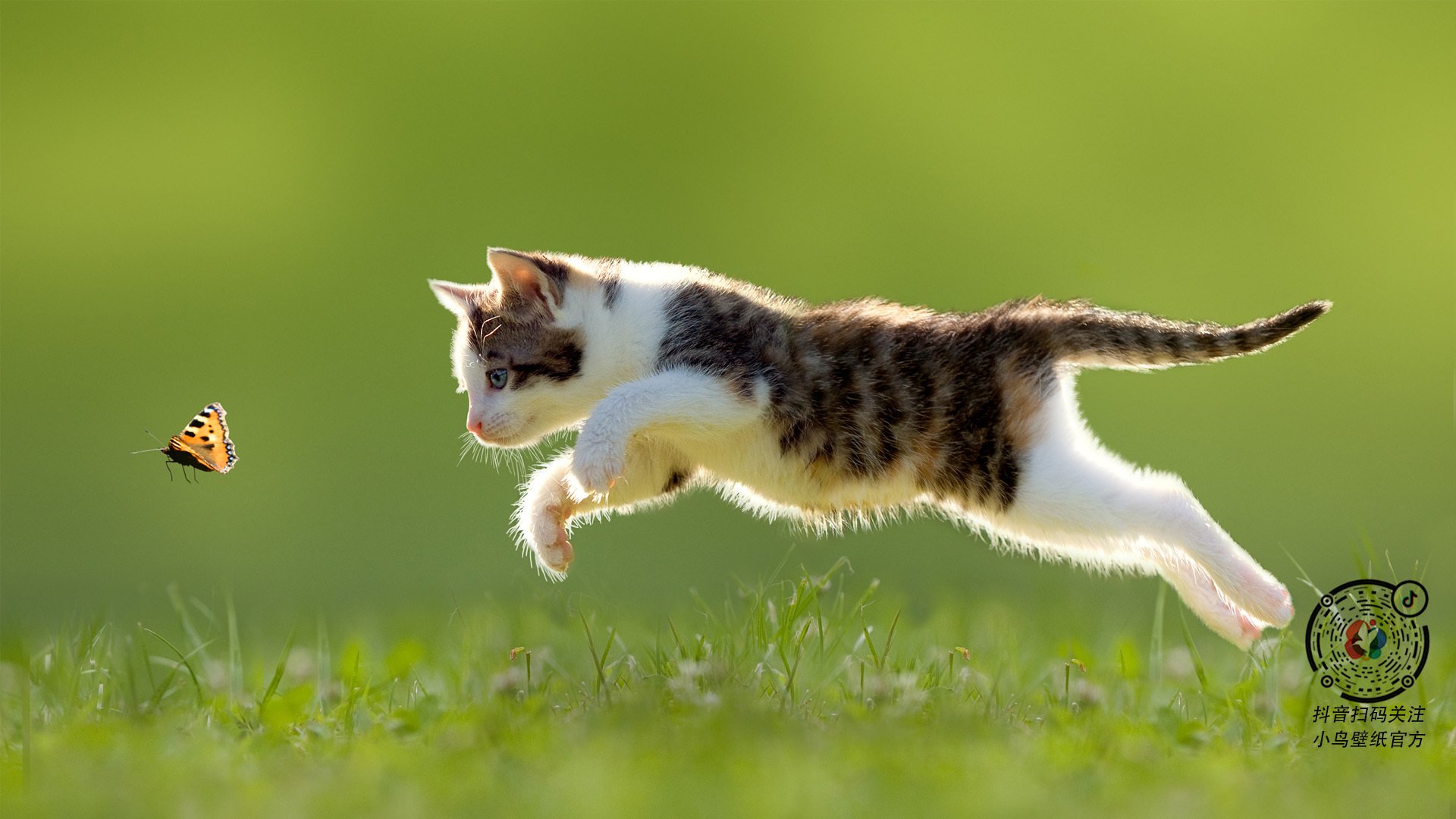 九游网页版官网入口-NBA季后赛争夺激烈，nba季后赛争夺激烈吗