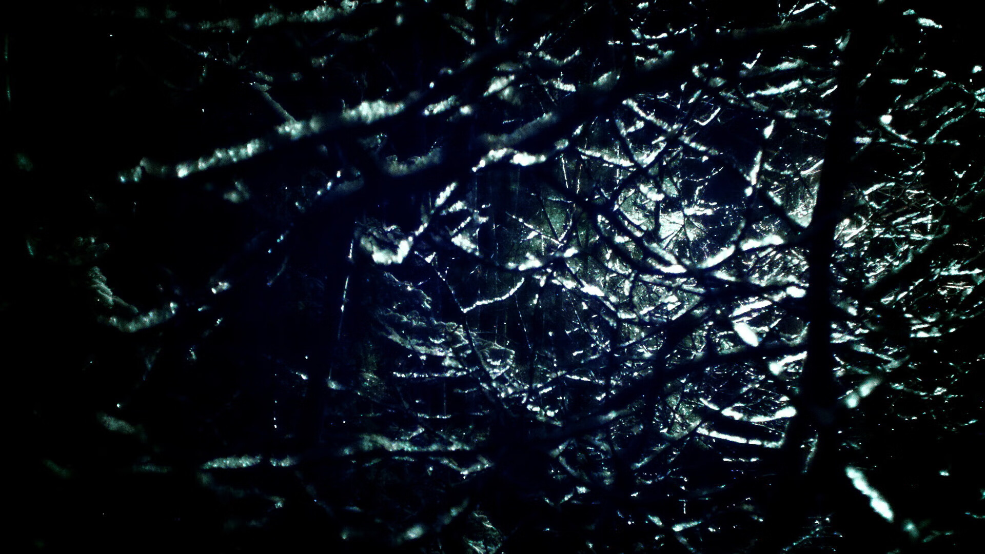 九游APP官网-上海德比：申花强势压制申鑫，取得连胜，2021赛季首场上海德比打响_上海申花1比1战平上海海港