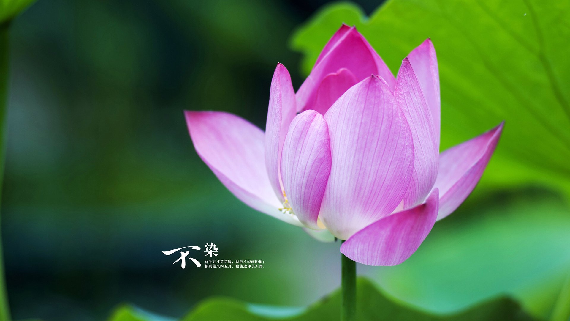 九游-克罗地亚队在巴黎奥运会手球比赛中多次通过快速反击得分，克罗地亚男足进奥运会了吗