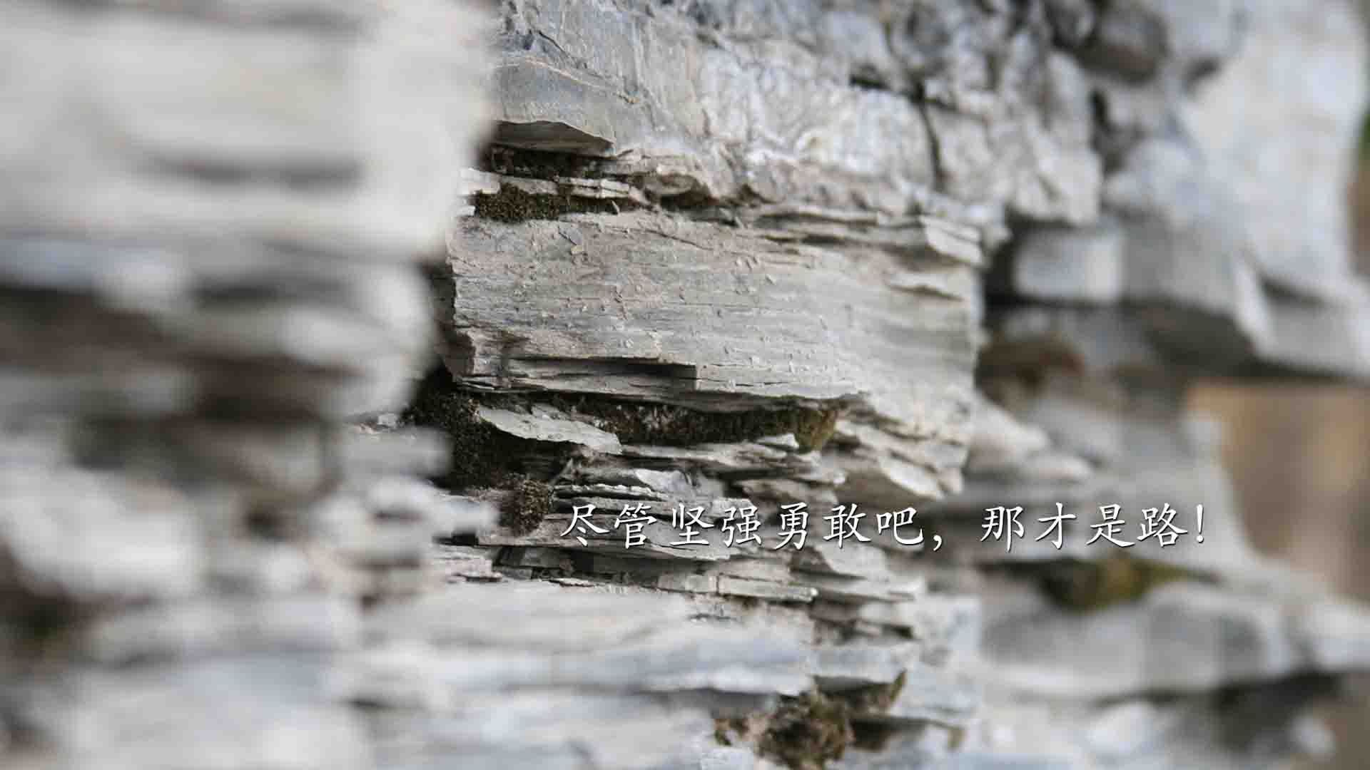 九游9游-电竞游戏中的英雄角色平衡探讨与优化方案，电竞游戏人物