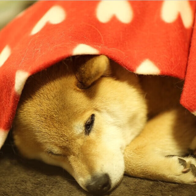 中国足球不同阵型下前锋触球位置热图,足球中前锋的位置和打法