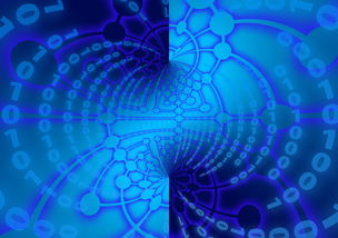 九游APP官网-中超球队年度数据分析可视化仪表板展示，中超联赛队标