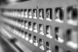 JiuyouAPP下载-青少年运动损伤预防技术及实践研究，青少年运动损伤预防技术及实践研究论文