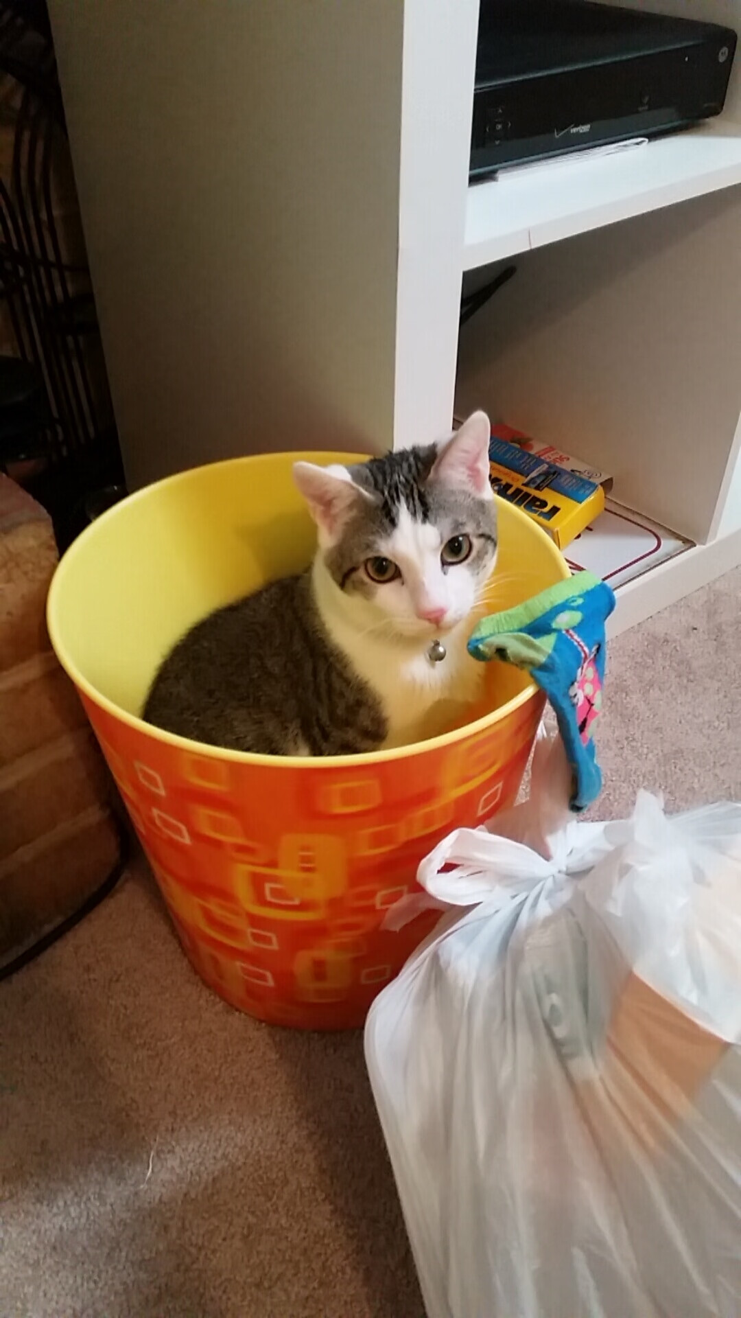 青少年运动损伤预防技术及实践研究，青少年运动损伤预防技术及实践研究论文