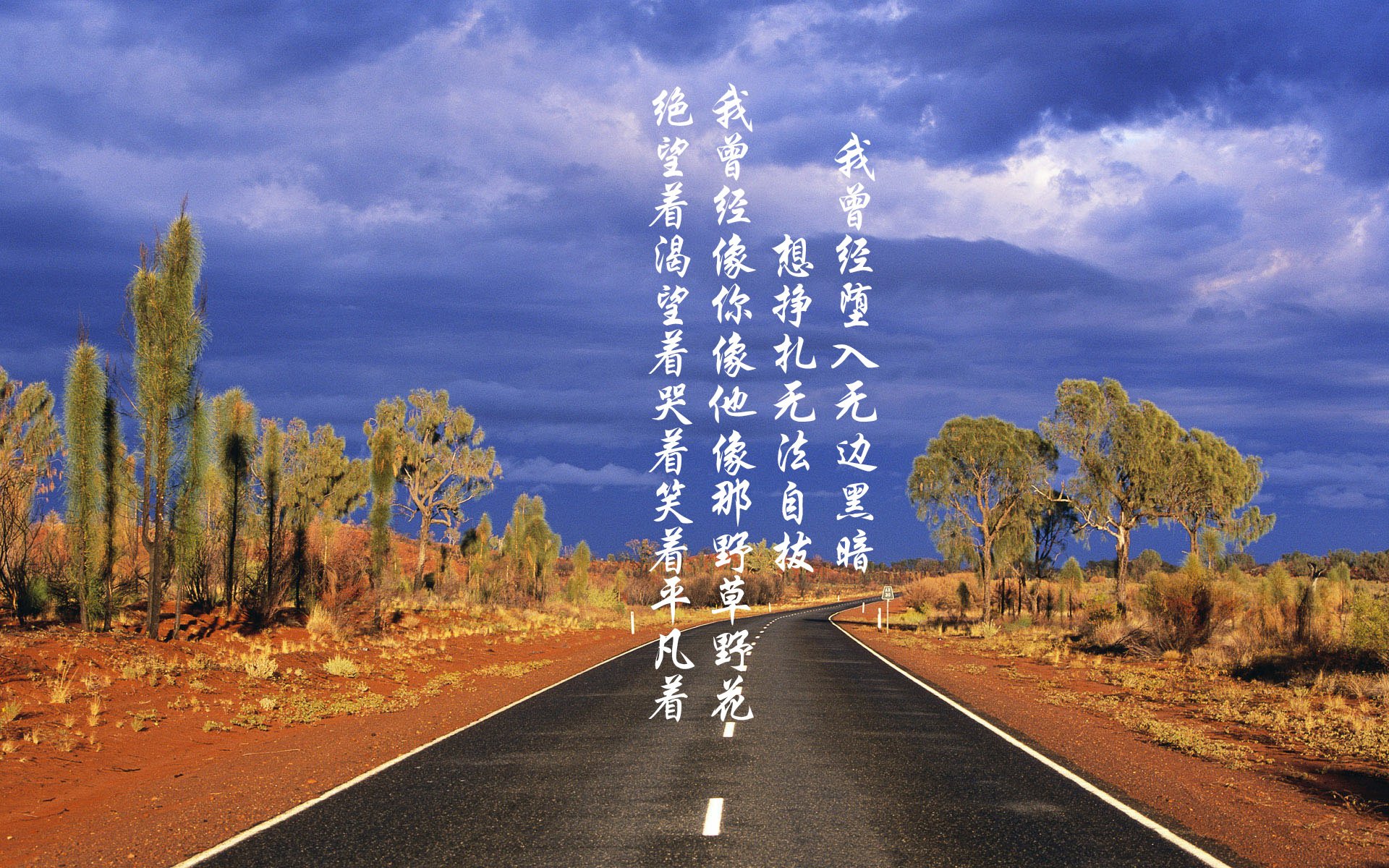 蝶泳配速策略成效显著，蝶泳 配合