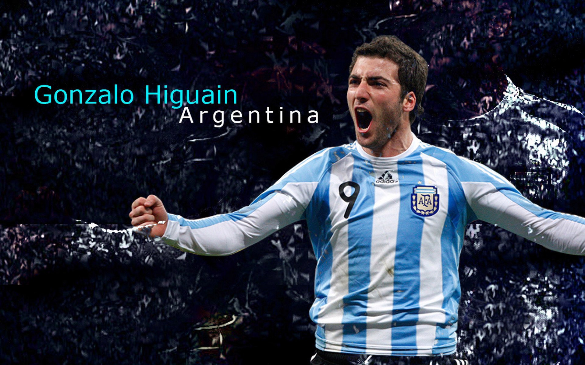 运动科技助力极限项目数据建模实现突破，运动系统建模